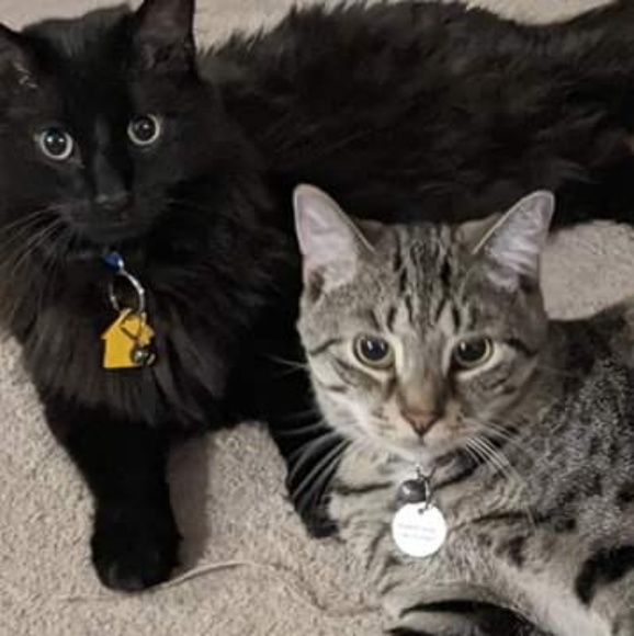 Meet your Posher, Lauren - Picture 4 of 4